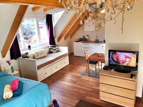 ein Wohnzimmer mit einem Bett und einem TV sowie eine Küche in der Unterkunft Book-A-Room Salzburg Apartment 5-6-7-8 in Salzburg