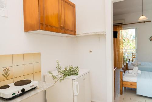 a kitchen with a counter with a stove at Kalofonos Studios in Zakynthos Town