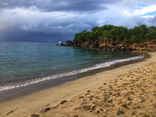 a beach with a cloudy sky and the ocean at Les Gîtes SUN AND SEA in Deshaies