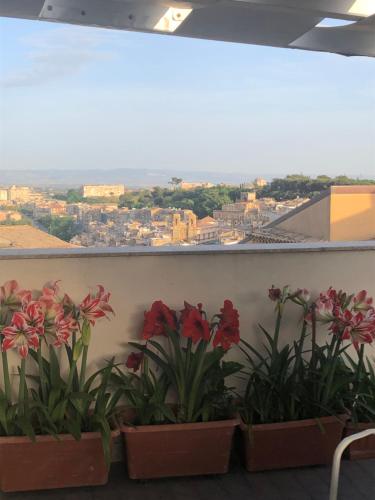 a group of plants on a wall with a view at Il Piccolo Attico in Caltagirone
