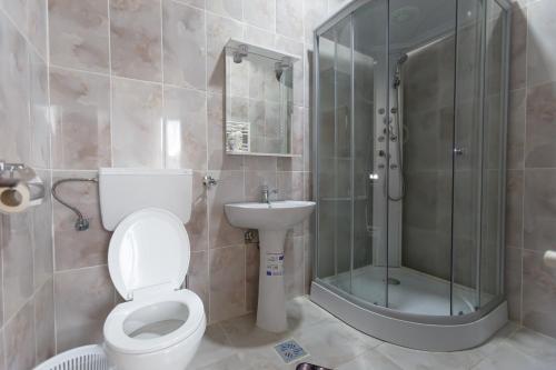 a bathroom with a toilet and a shower and a sink at Pensiunea Cașoca-Cascadă in Siriu