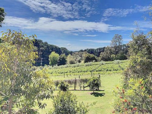 a field of grass with trees in the background at Red Hill Lane 5BedroomVineyard&RuralValleyViews in Red Hill South