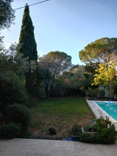 - un chat dans une cour à côté d'une piscine dans l'établissement studio charmant et calme villeneuve les avignon entrée et cour indépendantes climatisation piscine parking, à Villeneuve-lès-Avignon