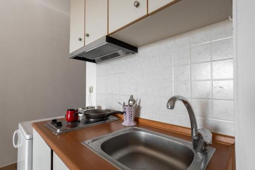 - un évier en acier inoxydable dans une petite cuisine dans l'établissement Elia mini suites 6, à Larissa
