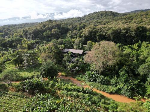 a house in the middle of a forest at S.House168 in Chiang Mai