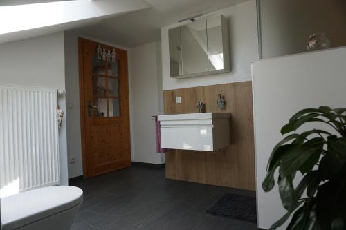 Koupelna v ubytování Ferienwohnung Jenbachtal