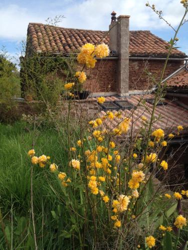 un champ de fleurs jaunes devant une maison dans l'établissement gîte pour amoureux ambiance Japon, à Rebourguil