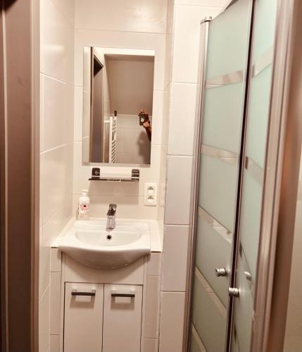 a bathroom with a sink and a mirror at O-Mer Oostende in Ostend
