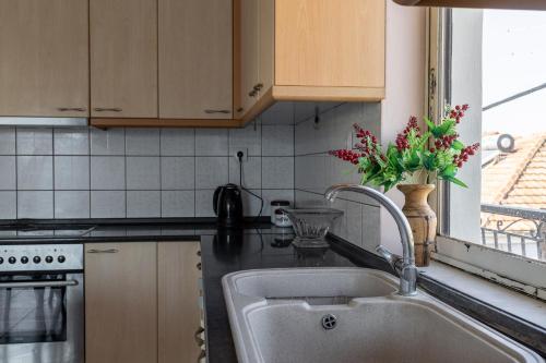 uma cozinha com um lavatório e um vaso de flores no balcão em Deluxe Apartment LA em Lárissa