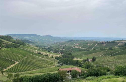 a view of a vineyard from a hill with a house at Soggiorno con splendida vista in Monforte dʼAlba