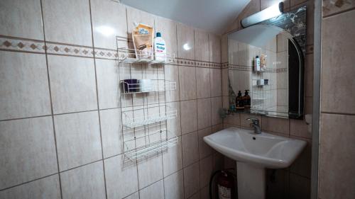 ein Bad mit einem Waschbecken und einem Spiegel in der Unterkunft Pinewood Cabin in Braşov