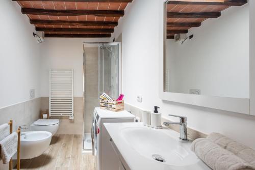 een badkamer met een wastafel, een toilet en een spiegel bij Siena Cozy Apartment with Private Garden! in Val di Pugna