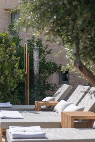 Κήπος έξω από το Villa Dimi