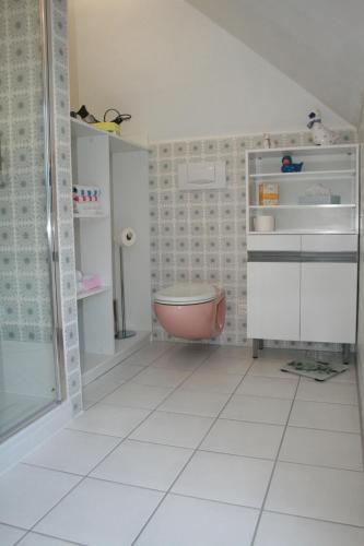 ein Badezimmer mit einem rosa WC und einer Dusche in der Unterkunft Ferienwohnung Baude in Bad Harzburg