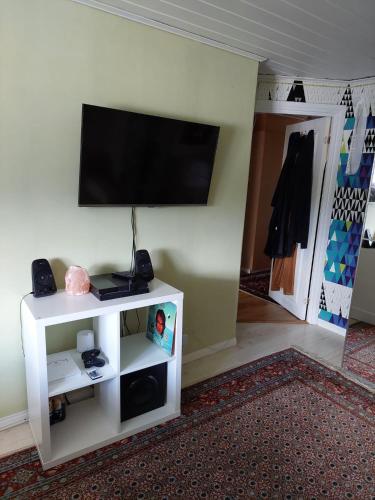 TV a/nebo společenská místnost v ubytování Cozy room