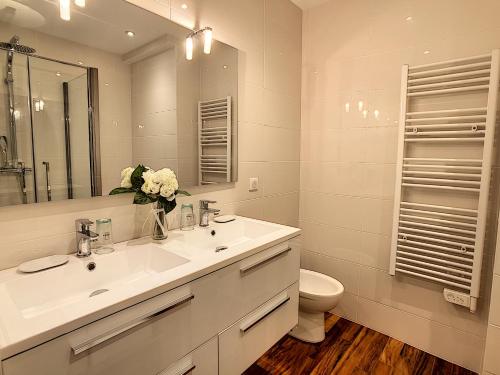 uma casa de banho com um lavatório, um WC e um espelho. em Grand studio cabine à côté des plages NER634 em Cannes