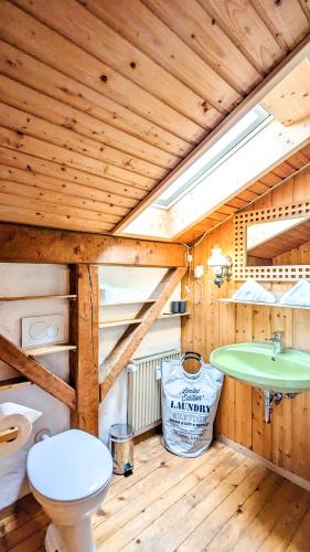 a bathroom with a toilet and a sink at Ferienapartment Edelsbergblick in Hopferau