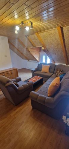 Χώρος καθιστικού στο Apartman DANE