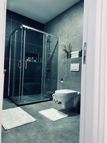 a bathroom with a glass shower and a toilet at Priam Apartment in Pristina