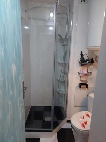 une salle de bain avec douche et toilettes dans l'établissement Les Balcons de la Mer - MARSEILLAN Plage 34340, à Le Castellas