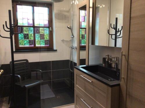 a bathroom with a sink and a shower at La colline aux hirondelles in La Roche-en-Ardenne