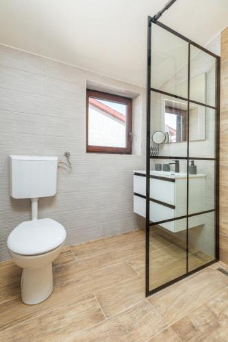 a bathroom with a toilet and a glass shower at Wine house apartments & rooms Marčeta in Fažana