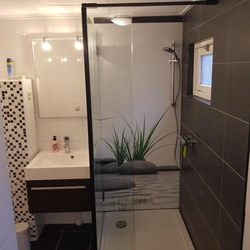 a bathroom with a shower with a sink and a toilet at Bungalow Veluwemeer in Ermelo