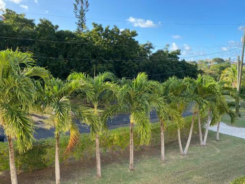 Zahrada ubytování New! Bluestone Getaway in Christiansted USVI !