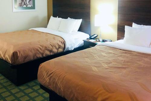 a hotel room with two beds and a lamp at Quality Inn Arcola in Arcola