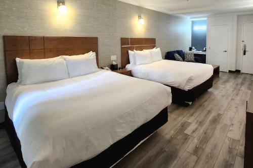 Cama o camas de una habitación en Quality Inn & Suites