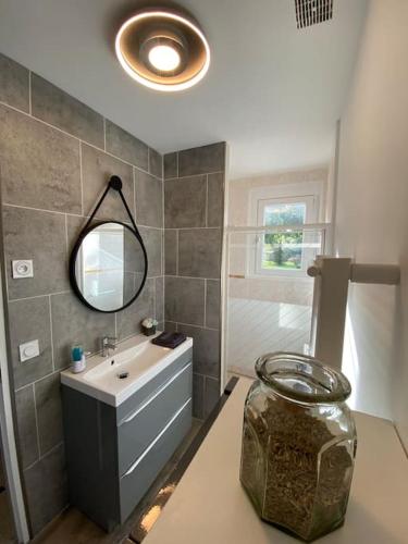 une salle de bain avec un lavabo et un miroir dans l'établissement Gite de Tréguilly, à Pontchâteau