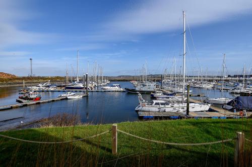 a bunch of boats docked in a harbor at The Salt Lodge in Troon