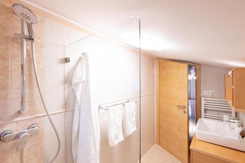een badkamer met een douche en een wastafel bij Villa Azul in Kojsko