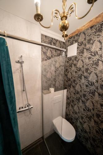 a bathroom with a shower with a toilet and a chandelier at CASA BELGERI - Bed & Breakfast in Dongio