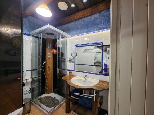 a bathroom with a sink and a shower at BAJOS CON ENCANTO EN RIALP in Rialp