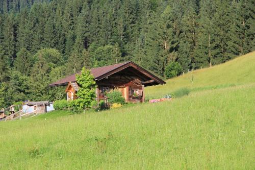 a log cabin on a hill in a field at Appartements Grünholz in Itter