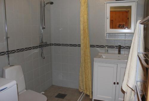 a bathroom with a shower and a toilet and a sink at Skillingaryds Gård in Skillingaryd