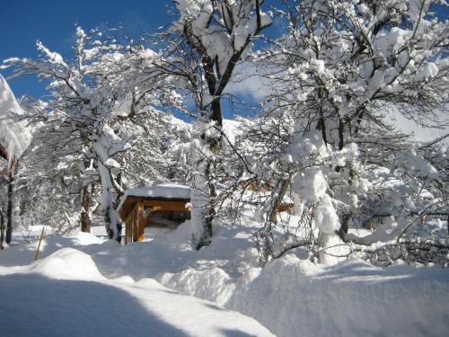 un patio cubierto de nieve con árboles y una casa en Haus Schrei, en Grundlsee