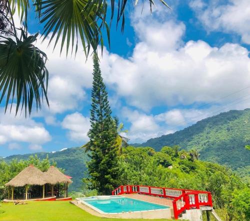 un complejo con una piscina y una palmera en Cabaña la Hamaca Grande un encuentro con la naturaleza, en El Zaino