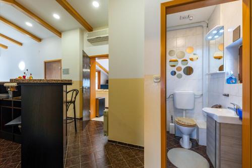 La salle de bains est pourvue de toilettes et d'un lavabo. dans l'établissement Apartment Kristina, à Rovinj