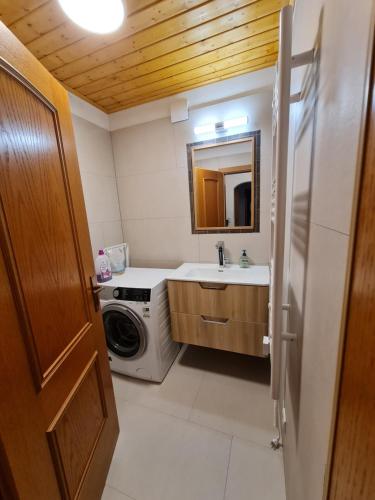 uma casa de banho com um lavatório e uma máquina de lavar roupa em Haus Bruna by Globalimmoservice em Bad Kleinkirchheim
