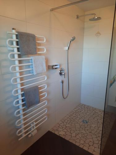 a bathroom with a shower with a glass door at Appartements Anfang in Weerberg