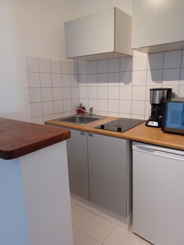 une cuisine avec un évier et un plan de travail dans l'établissement 55 VERNET, à Avignon