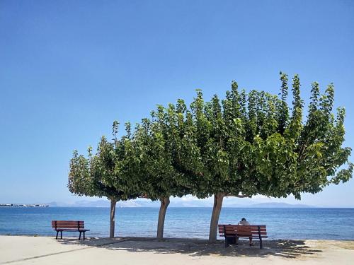 a person sitting on a bench under two trees on the beach at artemis homest ay ,two-bedroom apartment in Artemida