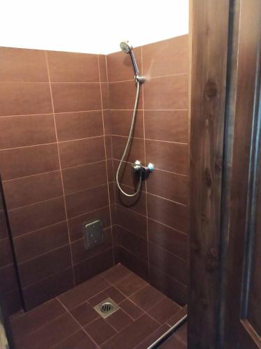 a bathroom with a shower with brown tiles at Tassi Halászcsárda - Sügér ház in Tass