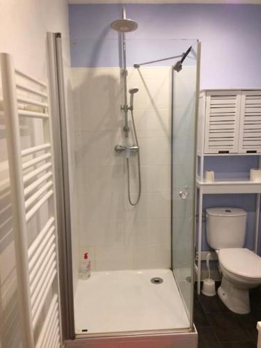 eine Dusche im Bad mit WC in der Unterkunft Maison au calme proche des transports in Lille
