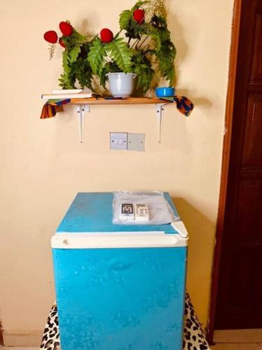 a blue refrigerator with flowers on top of it at Kangaroo Pouch Beach Resort in Busua