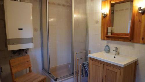 a bathroom with a shower and a sink at Hütte mit Herz im Harz in Meisdorf
