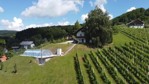 an aerial view of a vineyard with a house and a building at zidanica Bunderšek in Šentjanž