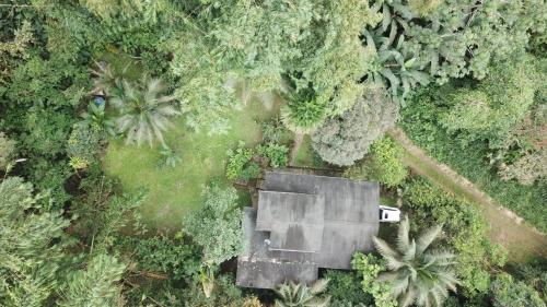 an aerial view of a house in the middle of a forest at Caoni riverside Lodge in Puerto Quito